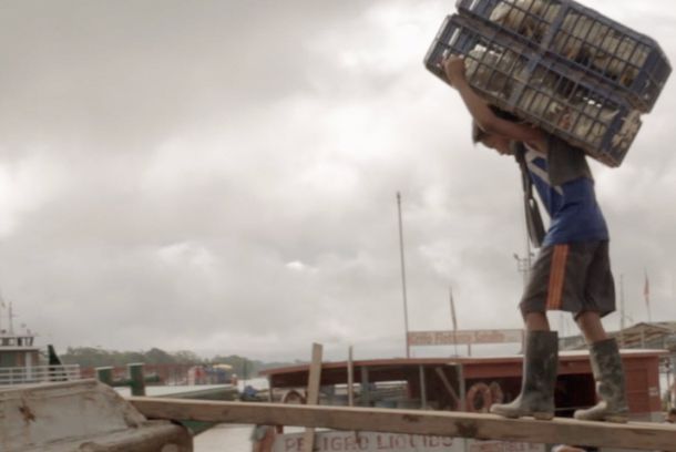 still / picture for Odisea Amazonica