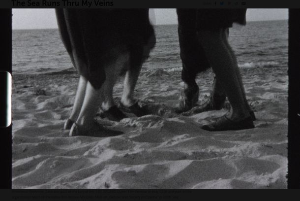 still / picture for The Sea Runs Thru My Veins