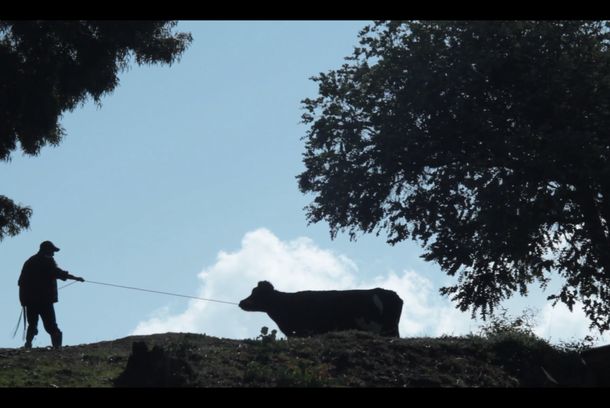 still / picture for Café con Leche