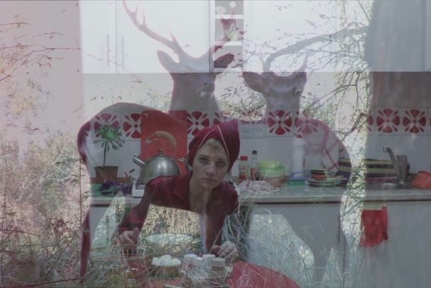 still / picture for Unusual Dinner