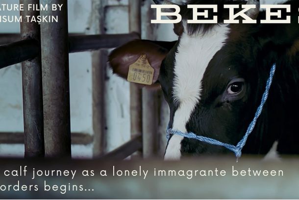 still / picture for Bekes