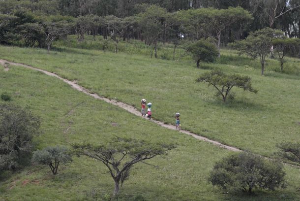 still / picture for Siyabonga