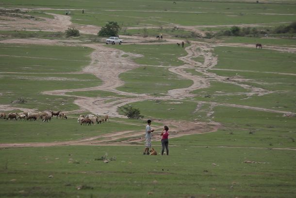 still / picture for ENSUEÑO EN LA PRADERA  
