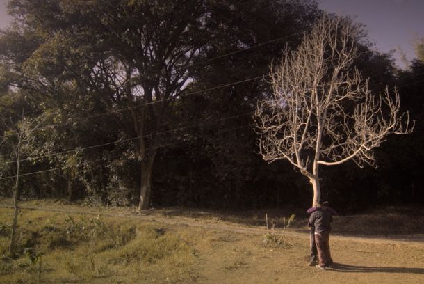 still / picture for tudo que vi era o sol