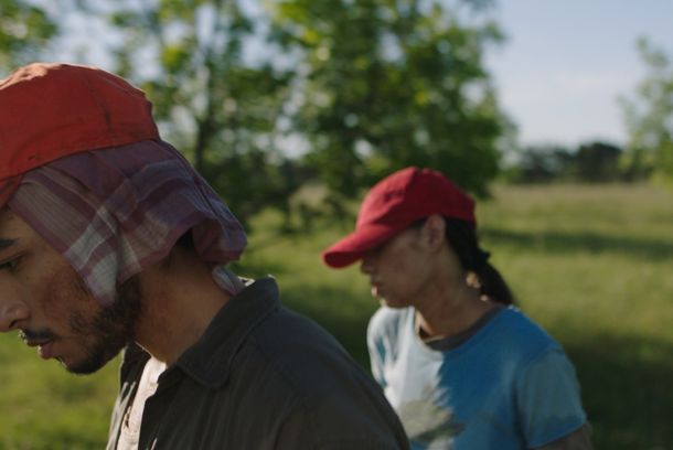still / picture for Golondrinas