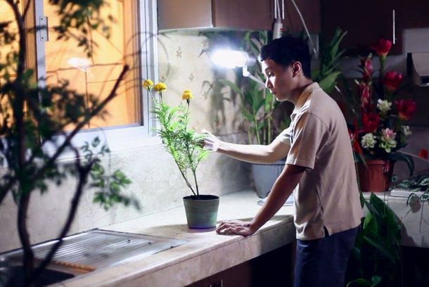 still / picture for San Lazaro