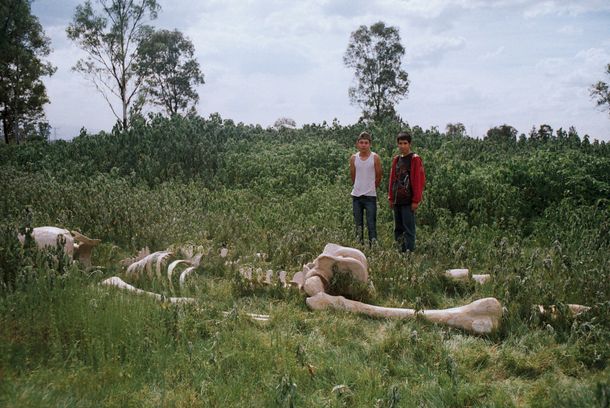 still / picture for Príncipe de Paz