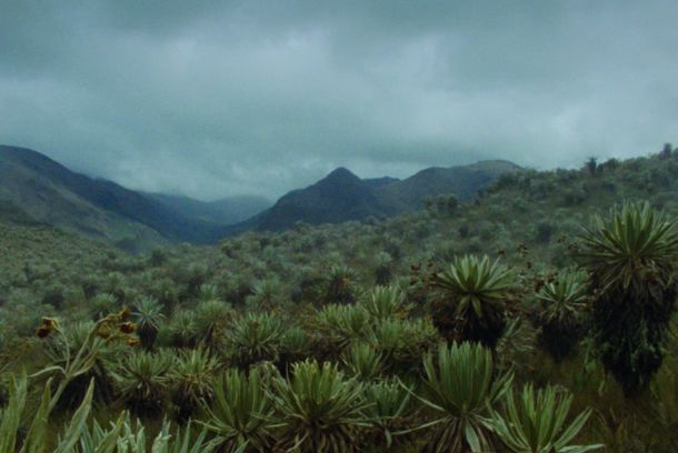 still / picture for La Laguna del Soldado