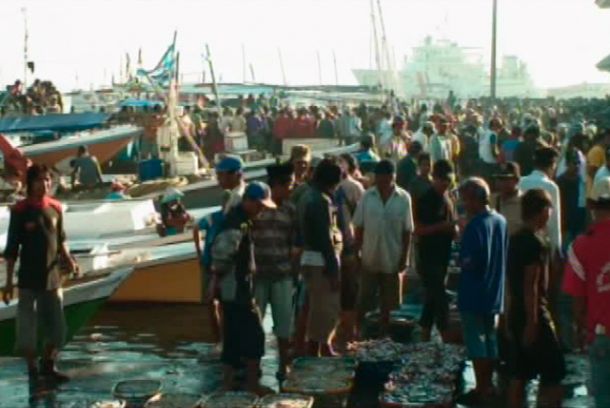 still / picture for The Fish Market (Paotere)