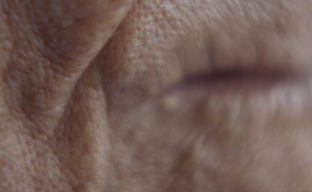 still / picture for Murciélago
