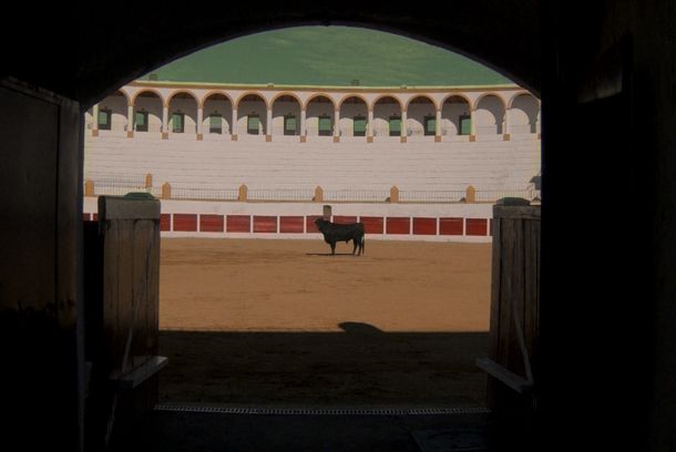 still / picture for Asterión