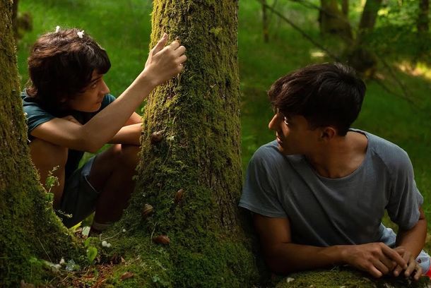 still / picture for Come le lumache