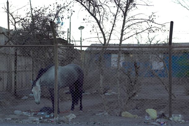 still / picture for Fantasmagoría