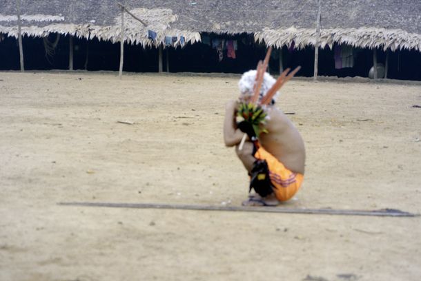 still / picture for Mãri Hi - A Árvore do Sonho