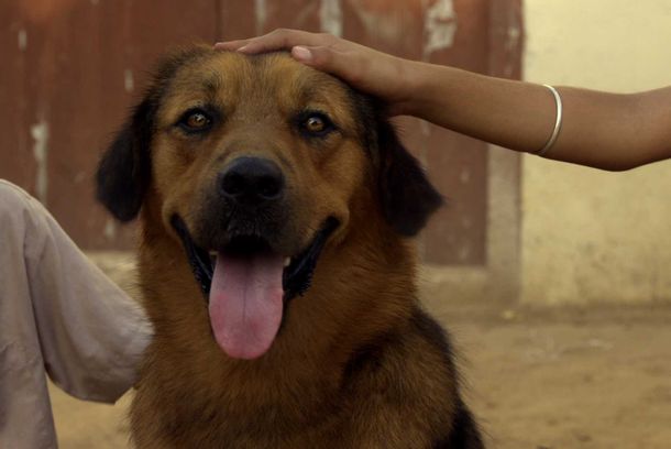 still / picture for Chauthi Koot