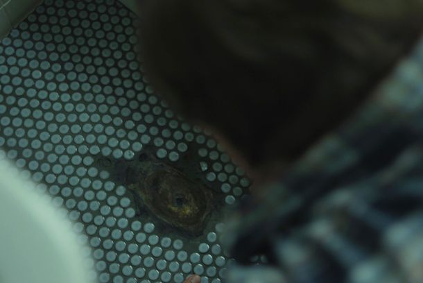still / picture for Inez & Doug & Kira 