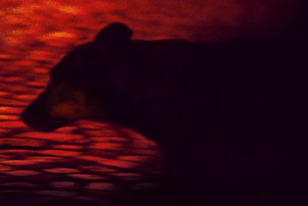 still / picture for Sarajevo Songs of Woe