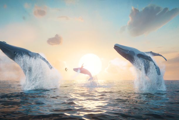 still / picture for The Last Whale Singer