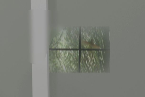 still / picture for First Person Leaky