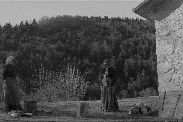 still / picture for El Mazarol