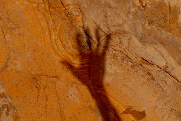 still / picture for Isola Sacra