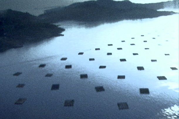 still / picture for Entre Bateas (Smugglers)