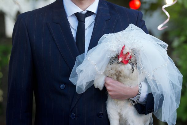 still / picture for Six Poulets Rôtis