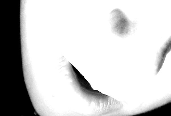 still / picture for Hold The Sorrow