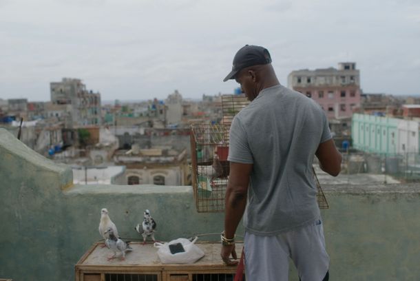 still / picture for La Calle Pura