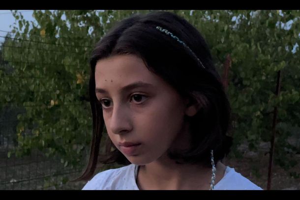 still / picture for GATTI RANDAGI