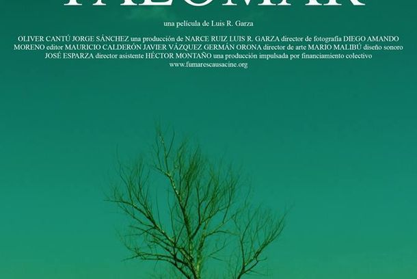 still / picture for Palomar
