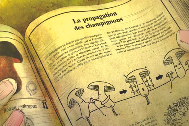 still / picture for The Great Law of Nature