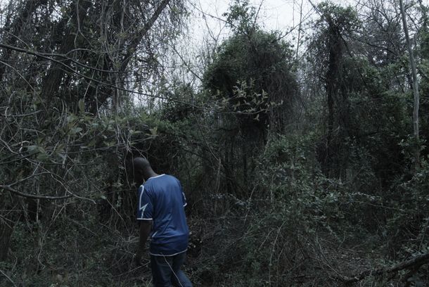 still / picture for A Song from the Future