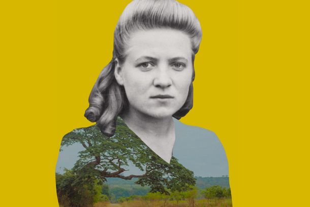 still / picture for Memory Is Our Homeland