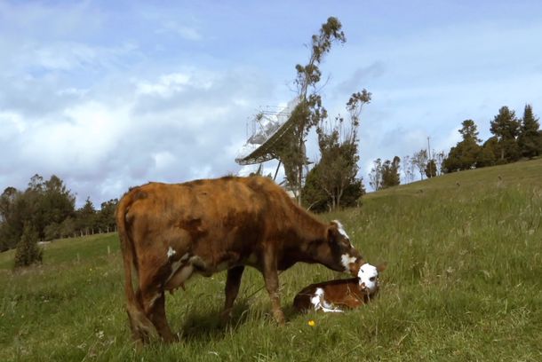 still / picture for Centro Espacial Satelital de Colombia