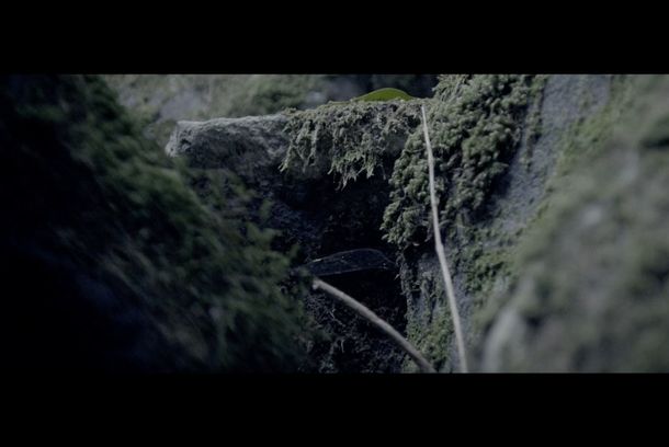 still / picture for Discovery of Fire