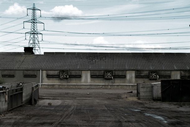 still / picture for Way Out East
