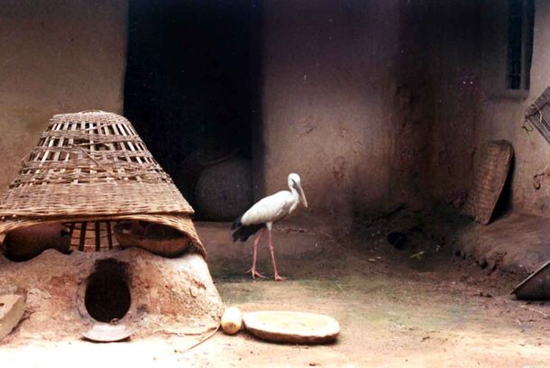 still / picture for THE NEST
