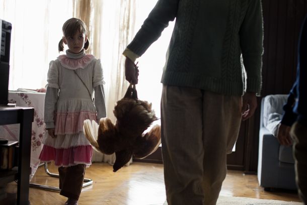 still / picture for The Chicken