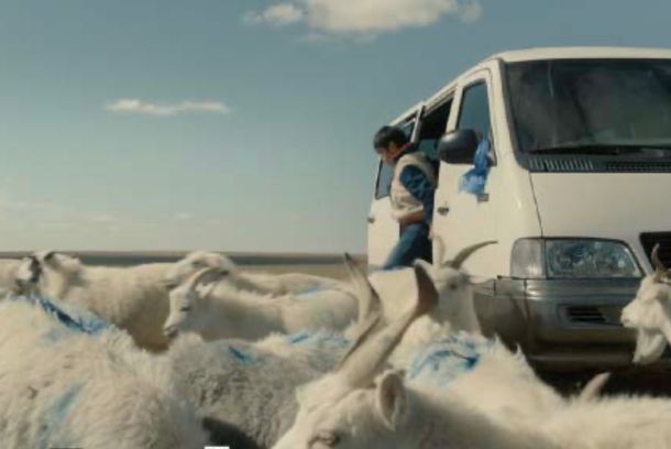 still / picture for 被标记的羊