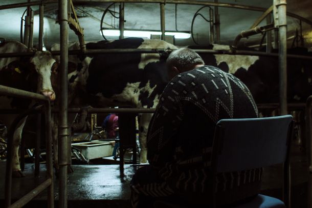 still / picture for Kontener