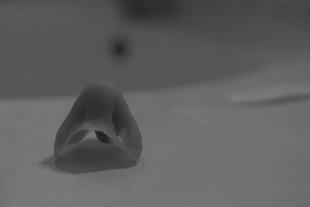 still / picture for Epithesis
