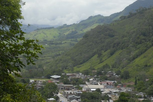 still / picture for Vacas / Cows