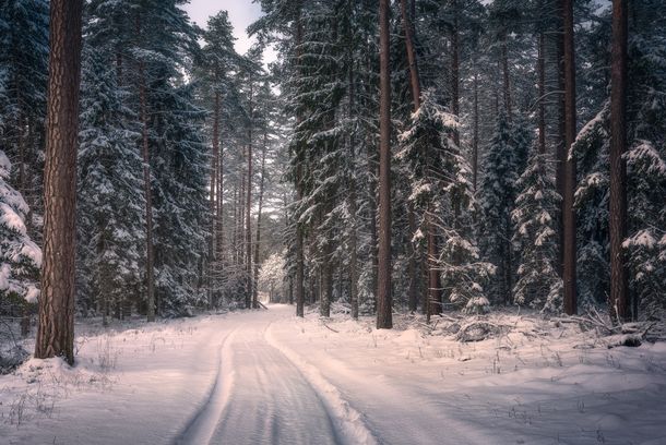 still / picture for Sibir