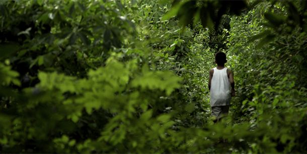 still / picture for Kamunggay