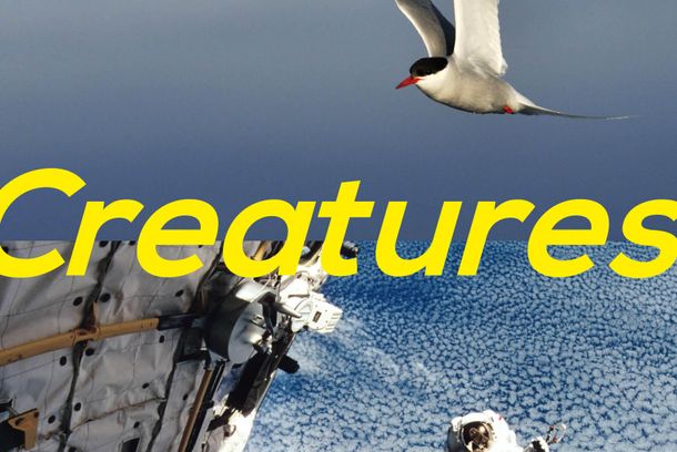 still / picture for Creatures