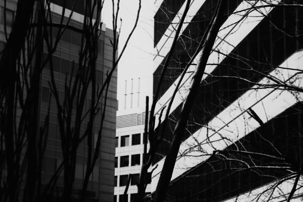 still / picture for The Open Window