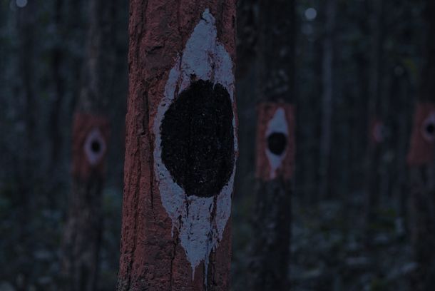 still / picture for TATTINI