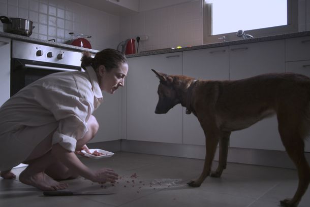 still / picture for Dog Leash (Resen)
