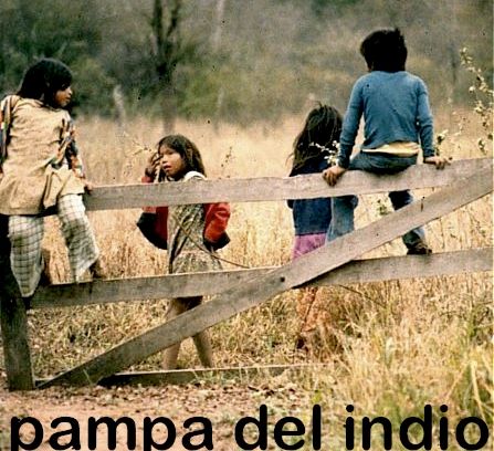 still / picture for Pampa del indio